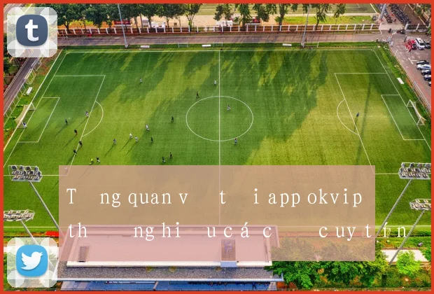 Tổng quan về tải app okvip thương hiệu cá cược uy tín