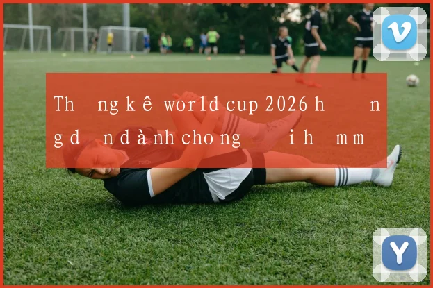 Thống kê world cup 2026 hướng dẫn dành cho người hâm mộ Việt